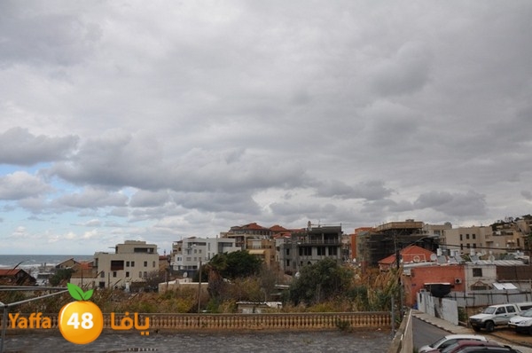 yaffa rain 1211 (22).JPG